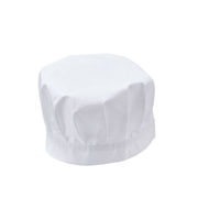 住商モンブラン MONTBLANC（モンブラン） 給食帽（2枚入り） 児童用 白 M PE901-2 1セット（直送品）