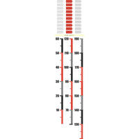 マッチングジャパン 身長計 ウォールステッカー 成長 子供「細い身長計_赤黒」 CO-10032-AS（直送品）