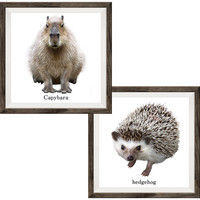 マッチングジャパン フチなし ラミあり フレームステッカー リアル動物『動物_22』 CO-9064-AS 1個(2枚セット)（直送品）