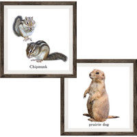 マッチングジャパン フチなし ラミあり フレームステッカー リアル動物『動物_23』 CO-9065-AS 1個(2枚セット)（直送品）