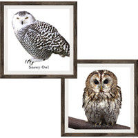 マッチングジャパン フチなし ラミあり フレームステッカー リアル動物『動物_24』 CO-9066-AS 1個(2枚セット)（直送品）