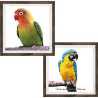 マッチングジャパン フチなし ラミあり フレームステッカー リアル動物『動物_25』 CO-9067-AS 1個(2枚セット)（直送品）