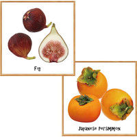 マッチングジャパン フチなし ラミあり フレームステッカー リアル果物『果物_02』 CO-9089-AS 1個（2枚セット）（直送品）