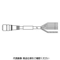 pi\jbN C_Xg[ CgJ[e SF4BV[Y Ver.2p zpڑP[u WY1[CCN3 1iij