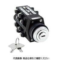 IDEC カムスイッチ 2段 4ノッチ ACSSKー244ーH2Bー4 1個（直送品）