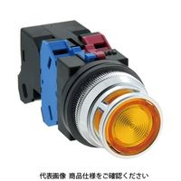 IDEC φ30 TWNシリーズ 照光押ボタンスイッチ 突形フルガード付 赤 AOLFN22204DNR 1個（直送品）