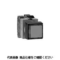 IDEC 22 TWV[Y ƌ{^XCb` pˌ`L  AOLQW2B1611DDR 1iij