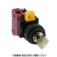 IDEC φ22 HWシリーズ鍵操作形セレクタスイッチ 2ノッチ HW1Kー2JPA01ー503 1個（直送品）