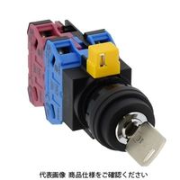 IDEC φ22 HWシリーズ鍵操作形セレクタスイッチ 2ノッチ HW1Kー2JPA21 1個（直送品）