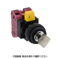 IDEC φ22 HWシリーズ鍵操作形セレクタスイッチ 2ノッチ HW1Kー2PA02ー502 1個（直送品）