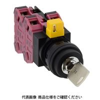 IDEC φ22 HWシリーズ鍵操作形セレクタスイッチ 2ノッチ HW1Kー2PA03ー503 1個（直送品）