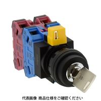 IDEC φ22 HWシリーズ鍵操作形セレクタスイッチ 3ノッチ HW1Kー3PA22N1ー501 1個（直送品）