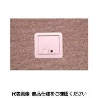 TERADA ボックス+プレート（シャンパンゴールド） SSS10000M020 1個（直送品）