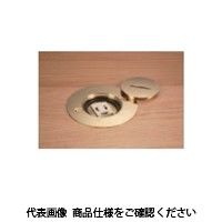 TERADA RZgtv[g P=66.7 S[h 96 ڒn2P 15A 125V ~×1 RJbg TFB60104R 1iij