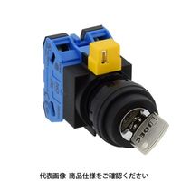 IDEC φ22 HWシリーズ鍵操作形セレクタスイッチ 2ノッチ HW1Kー2A20 1セット(2個)（直送品）