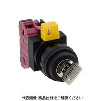 IDEC φ22 HWシリーズ鍵操作形セレクタスイッチ 2ノッチ HW1Kー2B01 1セット(2個)（直送品）