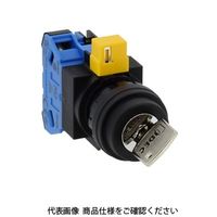 IDEC φ22 HWシリーズ鍵操作形セレクタスイッチ 2ノッチ HW1Kー2C10 1セット(2個)（直送品）