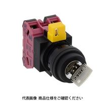 IDEC φ22 HWシリーズ鍵操作形セレクタスイッチ 3ノッチ HW1Kー3B02 1セット(2個)（直送品）