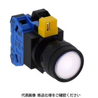 IDEC φ22 HWシリーズ 照光押ボタンスイッチ 丸平形 ピュアホワイト HW1LーM102Q2PW 1セット(2個)（直送品）
