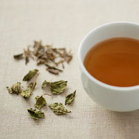 無印良品 ミントほうじ茶 14g（1.4g×10袋） 82198638 良品計画