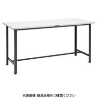 トラスコ中山 TRUSCO HSAE型立作業台 1800X600XH900 DG HSAE-1860 1台 868-8728（直送品）