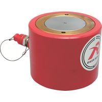 理研機器 RIKEN 単動式油圧シリンダー インチねじ ストローク125mm VCカプラ付 S4-125VC 1台 819-9910（直送品）