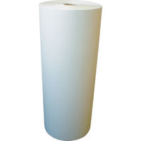 積水化学工業 積水 リサイクルペーパー 538X350M RP5335 1本 819-9225（直送品）