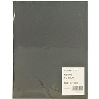 布ヤスリ 10枚入り #100 袋入 048448 三共理化学（直送品）