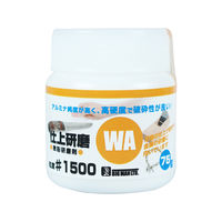 ビッグマン 微粉研磨剤 WA仕上研磨75g #1500 048825（直送品）