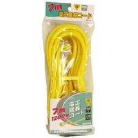 ビッグマン 電工延長コード Y12A7m1口 DE-12 066067（直送品）