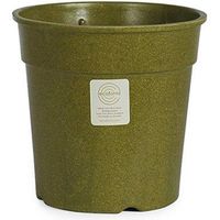Ecoforms |bg O[16A Avocado Gp16A Avoiij