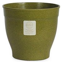 Ecoforms |bg mo5 Avocado Nova5Avoiij