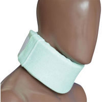 日本衛材 エースカラーソフトα(L) 24-2030-02 1セット(2箱)（直送品）