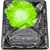 BF恵味7-1 黒板目L本体（N） 0745807016095 1包：800枚（50×16） シーピー化成（直送品）