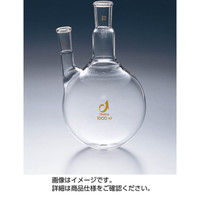 ケニス 共通摺合二口フラスコ 100mL 15/25 33460905（直送品）