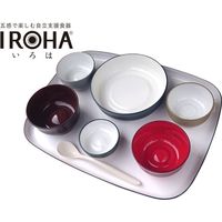 大成樹脂工業 五感で楽しむ自立支援食器IROHA フルセット オリジナル色 IROHA01　【食事用品】介援隊カタログ E1454（直送品）