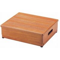 リッチェル 玄関台高さ調節付 40型 49106　介援隊カタログ R0210（直送品）