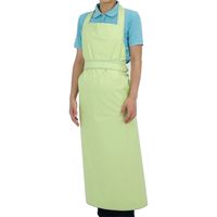 ニシキ 入浴介助エプロン グリーン L～LL H9637　介援隊カタログ S0849（直送品）