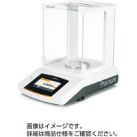 電子てんびん Practum313-1S 31040832 ザルトリウス（直送品）