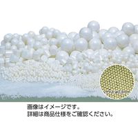 ニッカトー ジルコニアボール 0.03mm 1kg YTZ-0.03 33240188（直送品）