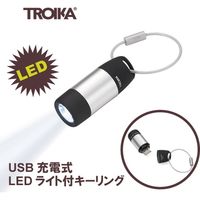 トロイカジャパン エコチャージ TR-TOR40/SI（直送品）