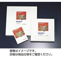 メルク イモビロンブロッティングメンブレン IPVH 08130 33170499 1箱（10枚入）（直送品）