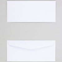 ムトウユニパック 白封筒 ケント 100 1箱（500枚入）