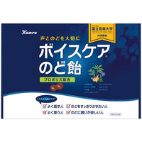 カンロ ボイスケアのど飴 1袋（585g）