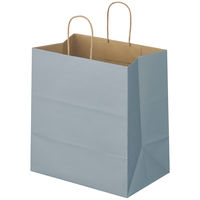 スーパーバッグ 丸紐 ニュアンスカラー手提紙袋 L クールグレー 1箱（300枚：50枚入×6袋）