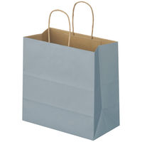 スーパーバッグ 丸紐 ニュアンスカラー手提紙袋 M クールグレー 1箱（300枚：50枚入×6袋）