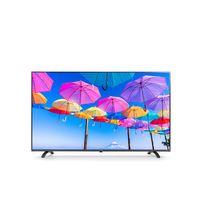 アイリスオーヤマ 液晶テレビ LT-55B620 55インチ 4K対応（直送品）