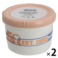 【アウトレット】キャニスター　スヌーピー　500ml B-2271SP 1セット（2個） 岩崎工業　　PEANUTS　ピーナッツ