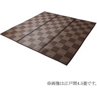 イケヒコ ラグ PPカーペット 『Fウィード』 江戸間3畳 幅1760×奥行2610mm ブラウン 1090281061003 1枚（直送品）