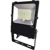日機 LED投光器 NLFL30-AC（直送品）